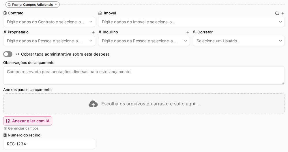 Janela do lançamento financeiro com a seção Campos Adicionais preenchida